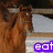 Brown horse in stable with purple text overlays reading eat, sleep, and ride