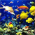 Animals icons for AIM, MSN, MySpace and Yahoo