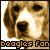 Pixelated close-up of a dog's face with brown and white fur, dark eyes, and a dark nose, below which is pixelated text reading 'boggles Ron'.