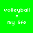 Green background with white pixelated text 'volleyball = my life' arranged in four , each showing different black bar placements around the text