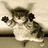 Pixelated cartoon cat in mid-air with arms outstretched, next to bold text reading "Fly Kitty Fly !!!" on a beige background.