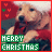 A 4-frame animated contact sheet showing a golden retriever puppy wearing Santa attire with slight pose and expression variations across frames, set against a red background with small green and red symbols.