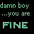 A 48x48 pixel animated contact sheet showing six frames of a text-based buddy icon with green and blue pixelated text on black background, displaying repeated phrases "damn boy ...you are FINE" in varying color states.