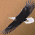 Animated sequence showing a black bird silhouette flying left to right across a brown background with white cursive text.