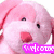 Pink plush dog with red ears and pink nose, mouth open in a smile, white background, animated text overlay.