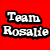 Pixelated text 'Team Rosalind' in white with black outlines on a solid red background.