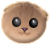 Four circular brown cat faces with purple noses and small whiskers, two with open eyes and two with closed eyes, arranged in a on a gray background