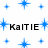 Blue starburst shapes and black text reading "KaITIE" appear on a white background with partial gray overlay.