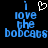 Blue pixelated text reads "I love the bobcats" with a white heart symbol above the 'love' on left; right side lacks the heart.