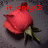 A pixelated red rose with green leaves and a dark stem against a gray background, overlaid with red pixelated text reading 'if only<3'.