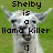 Pixelated image of a llama with text overlay reading 'Shelby is a llama killer :]' on green background.