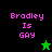 Pixelated text 'Bradley Is GAY' in pink on split black and green backgrounds with a small star icon.