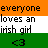Pixelated text on a tricolor background reads 'everyone loves an irish girl' with a heart symbol below.
