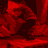 Animated contact sheet showing a red and white circular icon with 'SLW' text inside, transitioning from dark red background to bright light effects across frames.