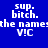 Blue background with white pixelated text reading "sup. bitch." and "the name" repeated across three , some words highlighted in green