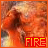 A pixelated image of a character with orange and brown tones, overlaid with red and yellow text reading "FIRE" at the bottom.
