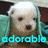 Static 48x48 pixel buddy icon featuring a cartoon dog with white fur and brown patches, positioned above the word "adorable" in cyan text against a teal background.