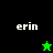 Four display the name 'erin' with a star icon changing color and position across backgrounds of black, bright green, and dark green