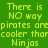 Green background with yellow pixelated text repeating 'There is NO way pirates are cooler than Ninjas' in two vertical