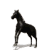 Animated contact sheet of a black horse performing various rearing and walking poses on white background with gray transparency indicator.