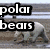 Animated sequence showing polar bears walking on a road with text overlays changing from 'polar bears need a home' to 'too!!' and a heart symbol.