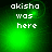 Green pixelated background with white text 'akisha was here' in four quadrants, each showing slight variations in light and shadow.