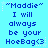 Pixelated blue text on cyan background with repeated "Maddie" and "I will always be your HoeBag<3" phrases and white star accents.