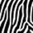 Black background with white zebra stripes on left, pink text 'love' and 'Tyler <8' on right.