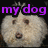 A four- shows a fluffy white dog with brown eyes and nose, each displaying different text overlays in distinct colors