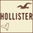 Pixelated icon with 'HOLLISTER' text, brown seagull silhouette above, and brown triangle below on beige background.