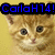 Pixelated cat face with brown and white fur, dark eyes, pink nose, blue text banner reading 'CarlaH74!' on black background.