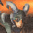 Pokemon Buddy Icons - AIM Icons - Anime Icons - AOL Icons