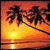 Silhouetted palm trees against a gradient sunset sky with a bright sun reflecting on water, displayed in a