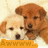 Two dogs with light and brown fur stand side-by-side, one dog's head slightly overlapping the other, against a pale background.