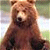 Static pixelated image of a brown bear standing upright with light-colored face and dark nose, set against blurred greenish background.