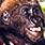 Pixelated static icon showing a close-up of an animal's face with dark fur and light-colored eyes, set against a blurred background.