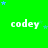 Green background with repeated white 'codey' text and scattered blue stars, partially cropped on the right.