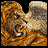 Pixelated image of a tiger's face with orange and brown fur, gray background, and a person's face in the top-right corner.