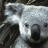 Pixelated koala face with dark fur and light grayish-white facial features, featuring a white heart outline in the lower right corner.