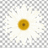Pixelated daisy with yellow center and white petals on transparent background, surrounded by green pixel text phrases.