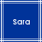 Blue background with white lines and pixelated text reading 'Sara' in two identical