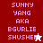 Pixelated text displays 'SUNNY YANG AKA BGURLIE SHUSHEE' with a white star icon on red background and a dark pink star icon on light pink background.