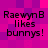 Pixelated text on a pink and purple checkered background reads "RaewynB likes bunnys!" in four identical
