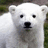 Pixelated close-up of a white polar bear's face with black eyes and nose, set against a blurred green and brown background.