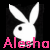 White rabbit head silhouette with black eyes on black background, pink text "Alesha" below each instance in