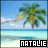 Pixelated beach scene with palm tree and ocean, two versions of the name 'NATALIE' in contrasting text boxes.
