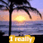 A sunset beach scene with palm trees and ocean, featuring three text overlays in different colors.