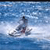 Pixelated static image of a person surfing on blue water with white foam, rendered in low-resolution 256x256 pixels.
