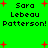 Green background with red plus signs and repeated black text reading "Sara Lebeau Patterson!" in pixelated font.