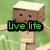 A pixelated wooden figure with a blocky head stands in a grassy field, displaying changing text overlays across four